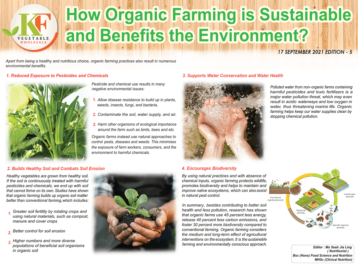 How Organic Farming is Sustainable and Benefits the Environment?